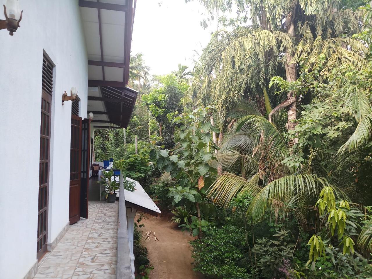 Gasthaus Piumi House Dikwella Exterior foto